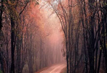 青年篮球训练营选拔新一届学员