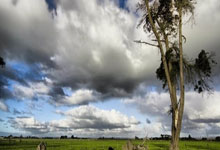 申花球员展现实力，为球队赢得胜利