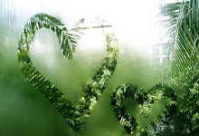 欧洲国家足球赛事展开激烈角逐，球员斗志昂扬