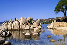 卡利亚里成功逆转战胜萨索洛，实力得到认可